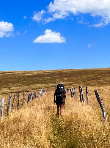 Randonnées dans le Sancy